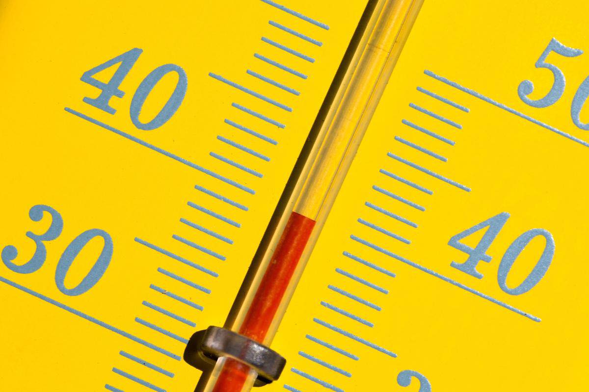 Canicule : Fermetures écoles et ALSH